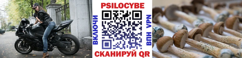 Купить где  Чудово  Псилоцибиновые грибы ЛСД 